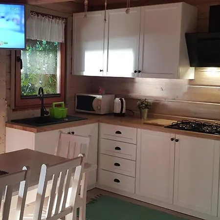 Domki Nad Jeziorem Olow Apartment *