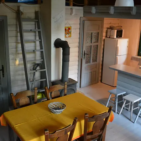 Domki Nad Jeziorem Olow Apartment *